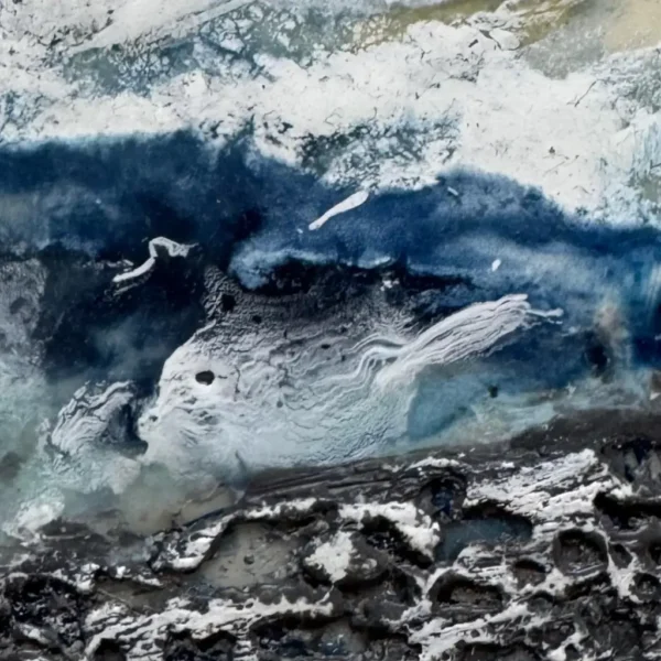 Capturing Ocean Life in Motion - Image 3